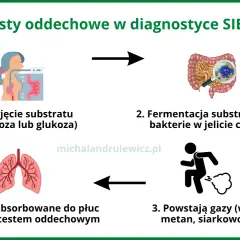 Jak czytać diagnozę SI? Wzorcowy przykład i co dalej