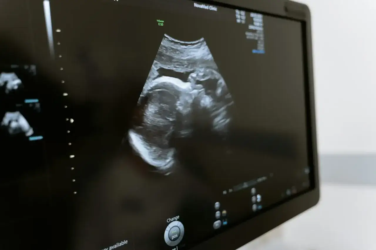 anatomia ciąży ochrona płodu